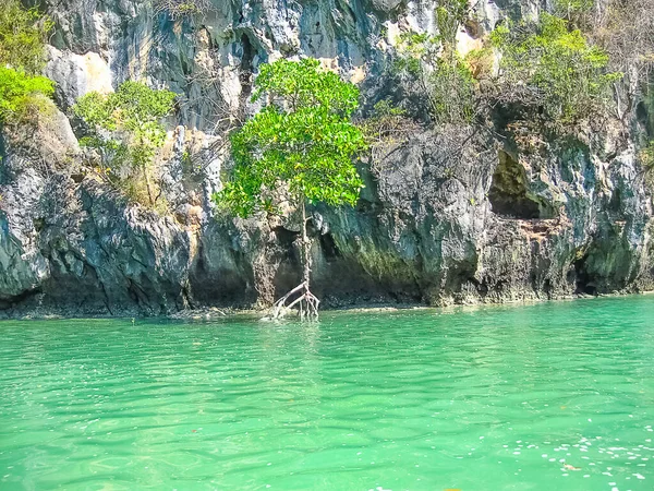 Paisaje Tropical Playa Del Ferrocarril Krabi Tailandia Vista Las Rocas — Foto de Stock