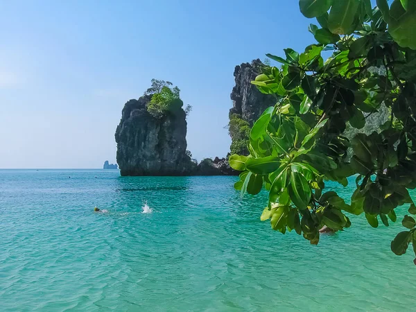 Trópusi Táj Railay Strand Krabi Thaiföld Kilátás Sziklára Levelein Keresztül — Stock Fotó