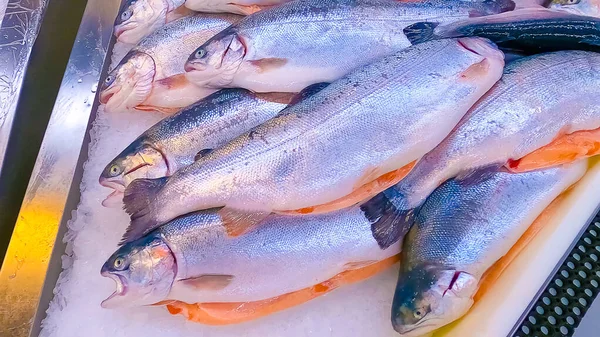 Peixe vermelho fresco no gelo — Fotografia de Stock