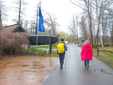 Almanya 'nın Spreewald bölgesindeki kır evlerinin manzarası.