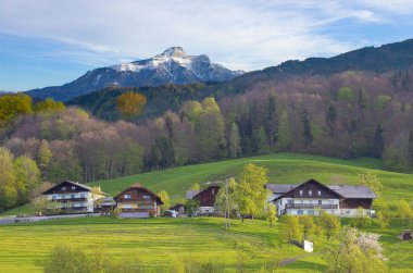 Avusturya, Salzburger Toprakları 'ndaki Idyllic Avustralya dağ evi.