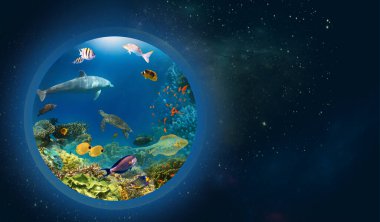 Dünya okyanusunun uzayda bir gezegen ya da küre olarak kavramsal görüntüsü. Çevre koruma kavramı. Su altı dünyası. Kızıl Deniz 'in mercan kayalıkları ve balıkları