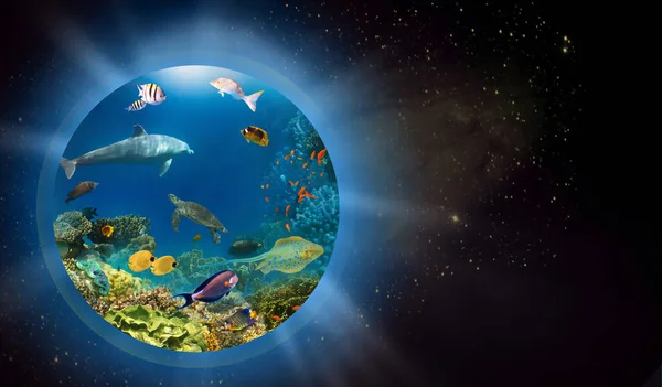 Konzeptionelles Bild Des Weltmeeres Als Planet Oder Globus Weltraum Umweltschutzkonzept — Stockfoto