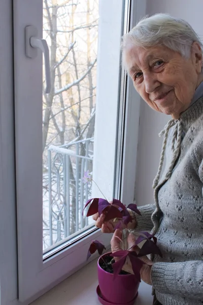 Vieja Mujer Solitaria Sentada Cerca Ventana Casa Mirando Cámara Sonriendo — Foto de Stock