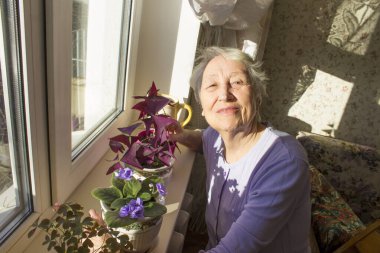 Yaşlı, yalnız, mutlu kadın evinin penceresinin yanında çiçeklerle oturuyor.