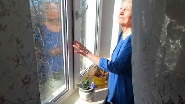 Vieja mujer solitaria sentada cerca de la ventana de su casa. — Vídeo de stock