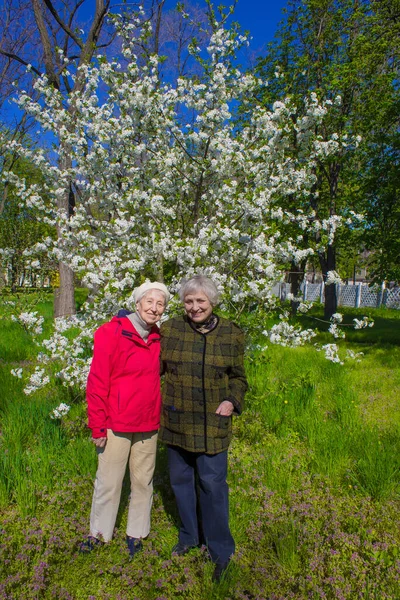 Ritratto di due anziane sorridenti. Una foto sullo sfondo della natura — Foto Stock