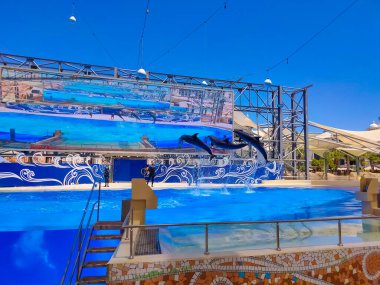 Belek, Antalya, Türkiye - 15 Mayıs 2021: The Dolphins on Creative Enterting Show at Land of Legends tema parkında.