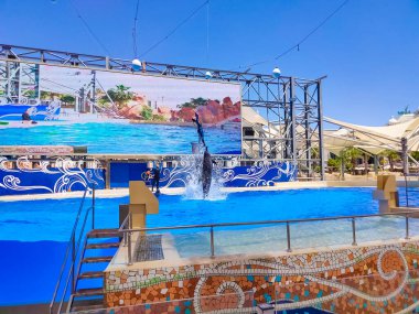 Belek, Antalya, Türkiye - 15 Mayıs 2021: The Dolphins on Creative Enterting Show at Land of Legends tema parkında.