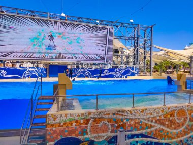 Belek, Antalya, Türkiye - 15 Mayıs 2021: The Dolphins on Creative Enterting Show at Land of Legends tema parkında.