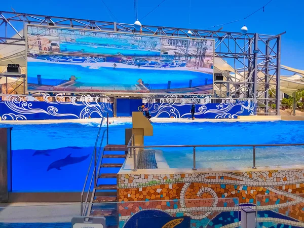 Belek Antalya Turquía Mayo 2021 Los Delfines Espectáculo Entretenimiento Creativo — Foto de Stock