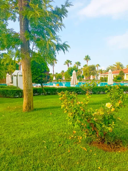 Belek Antalya Turquía Mayo 2021 Bellis Deluxe Hotel Mañana Verano —  Fotos de Stock