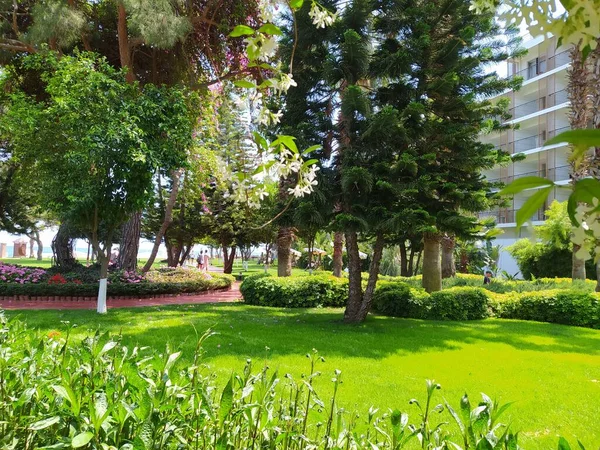 Beldibi Kemer Antalya Turquie Mai 2021 Vue Hôtel Étoiles Rixos — Photo