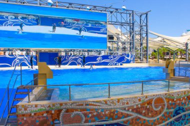 Belek, Antalya, Türkiye - 15 Mayıs 2021: The Dolphins on Creative Enterting Show at Land of Legends tema parkında.