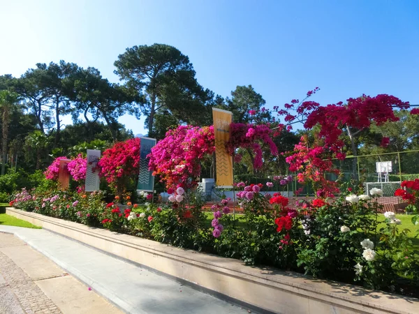 Goynuk Antalya Türkei Mai 2021 Haupteingang Zum Seven Seas Hotel — Stockfoto