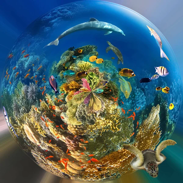 Underwater Paradise Background Coral Reef Wildlife Nature Collage Sea Turtle — Stock Fotó