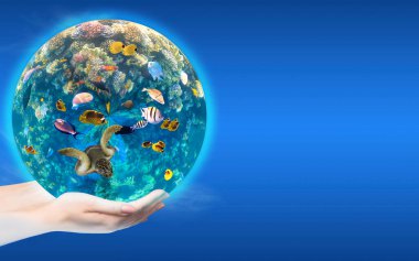 Mavi gökyüzüne karşı insan eliyle dünya. Çevre koruma kavramı. Su altı dünyası. Kızıl Deniz 'in mercan balıkları