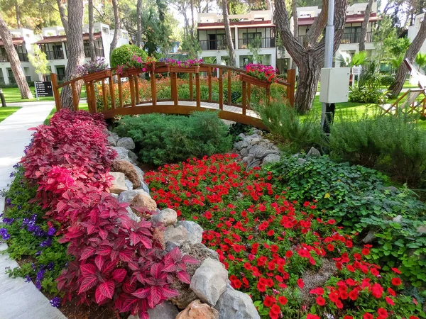 Goynuk Antalya Törökország May 2021 View Seven Seas Hotel Life — Stock Fotó