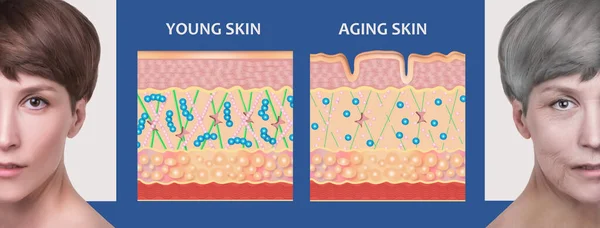 Anti-aging, kozmetikai kezelés, öregedés és a fiatalok, emelés, bőrápolás, plasztikai sebészet koncepció. — Stock Fotó