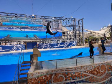 Belek, Antalya, Türkiye - 15 Mayıs 2021: The Dolphins on Creative Enterting Show at Land of Legends tema parkında.