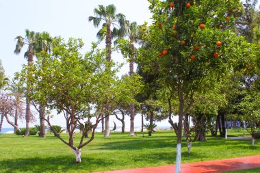 Beldibi, Kemer, Antalya, Türkiye - 11 Mayıs 2021: Beldibi, Kemer, Antalya, Türkiye 'deki 5 yıldızlı Rixos Beldibi Oteli manzarası 11 Mayıs 2021