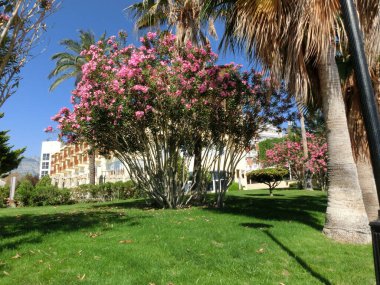 Kemer, Antalya, Türkiye - 11 Mayıs 2021: Eğlence ve Güneş Faaliyetleri Kulübü Hydros 5 yıldızlı otel