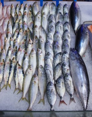 Kemer Türkiye 'deki pazarda taze balık satmak