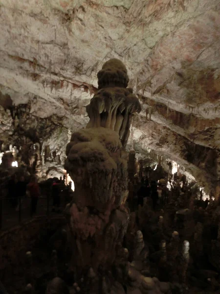Malerische Karstmerkmale Beleuchtet Der Höhle Postojna Grotte Oder Postojnska Jama — Stockfoto