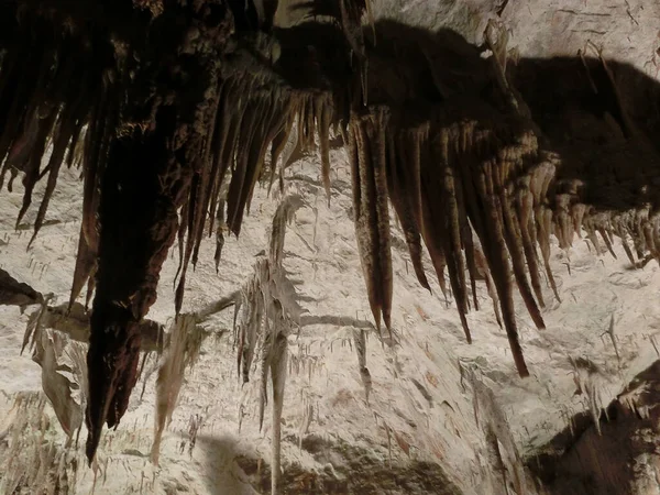 Malerische Karstmerkmale Beleuchtet Der Höhle Postojna Grotte Oder Postojnska Jama — Stockfoto