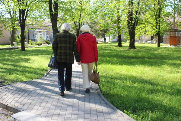 Zwei Ältere Damen Gehen Den Park Rückschau Auf Reife Frauen — Stockfoto