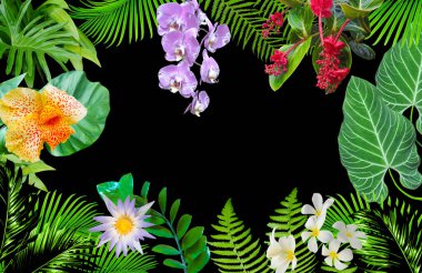 Tropik yapraklar. Siyah arka planda bitkilerin canlı yeşil yaprakları