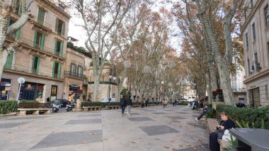Palma, Mayorka, İspanya - 16 Aralık 2025: İspanya 'nın Palma de Mallorca şehrinin göbeğindeki güzel Paseo del Born. Görkemli uçak ağaçları, Roma tarzı tarihi heykeller ve zarif binalarla dolu.