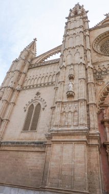 Palma Santa Maria Katedrali (daha yaygın olarak La Seu olarak bilinir) Palma, Mallorca, İspanya ve Avrupa 'da bulunan Gotik Katolik katedrali.
