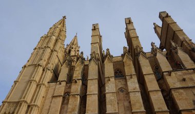 Palma Santa Maria Katedrali (daha yaygın olarak La Seu olarak bilinir) Palma, Mallorca, İspanya ve Avrupa 'da bulunan Gotik Katolik katedrali.