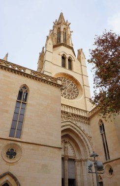 Palma, Mayorka, İspanya - İspanya 'da Palma de Mallorca' da bulunan güzel Aziz Eulalia Kilisesi