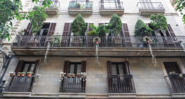 Barcelona 'nın gotik bölgesi - yeşil bitkilerle dolu balkon