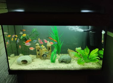 Akvaryum akvaryumunun kapağı balık dolu.