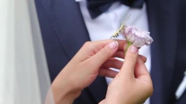 Düğün çift holding butterfy