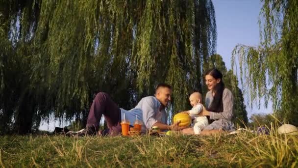 Família com bebê fazendo piquenique sob árvores — Vídeo de Stock