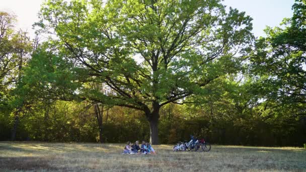 Familj av cyklister som har picknick under stora träd — Stockvideo