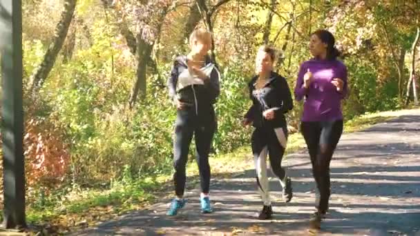 Prieteni veseli multirasiale jogging în parc însorit în toamnă — Videoclip de stoc