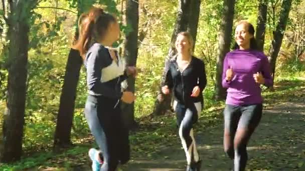 Multiracial przyjaciele joggers szkolenia w słoneczny dzień jesienią — Wideo stockowe