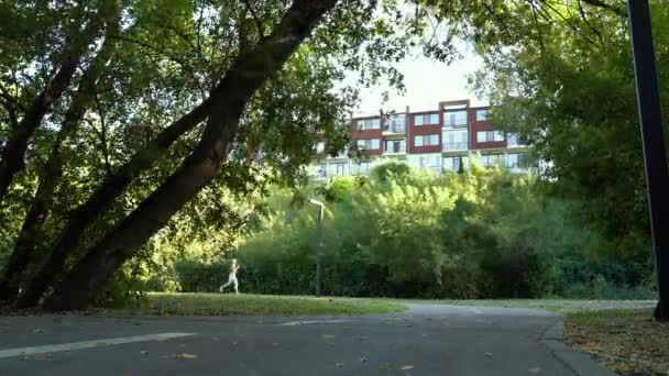 秋の初めに公園でジョギングする女性にフィット — ストック動画