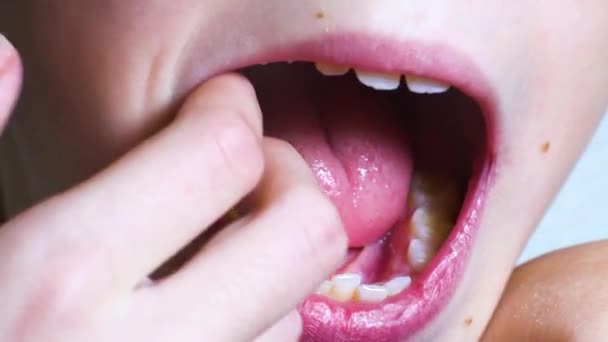 A fogsorokat mutató gyermek makrója — Stock videók