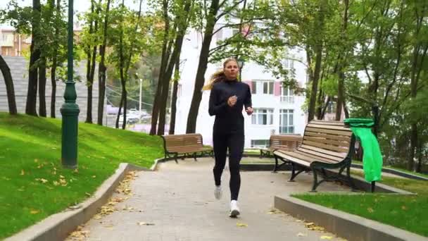 秋の早い時期に市内公園で女性ジョガー — ストック動画