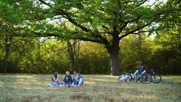 Grote familie picknicken onder eikenboom — Stockvideo