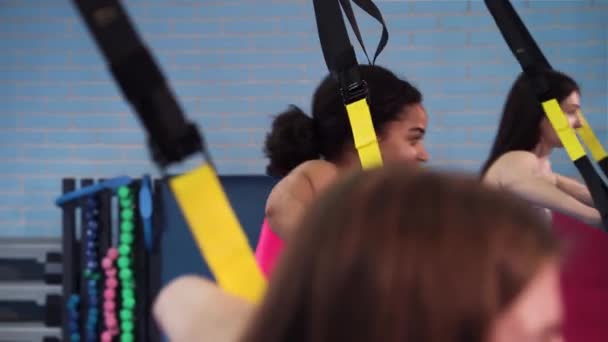 Diverse women training with TRX straps in gym — Stock Video