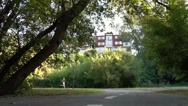 Mujer corriendo por la pasarela en el parque a principios de otoño — Vídeo de stock