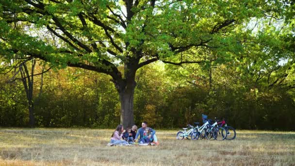 オークの木の下でピクニックをしている家族 — ストック動画