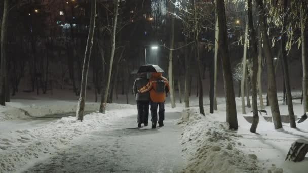Pareja romántica caminando bajo la lluvia en el parque nevado — Vídeos de Stock